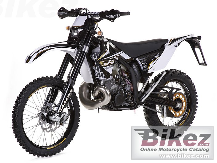 Big GAS GAS ec 300 2t racing picture and wallpaper from Bikez.com